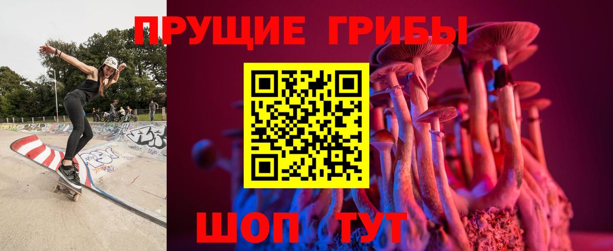 Арсеньев  Псилоцибиновые грибы Cubensis  Вход с VPN 